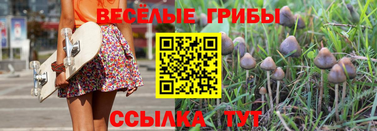 Щёлково  Галлюциногенные грибы Psilocybine cubensis  Вход с VPN 